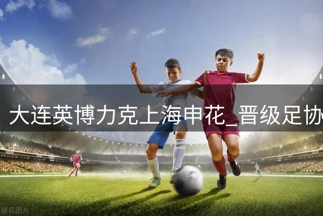 大连英博力克上海申花 晋级足协杯半决赛